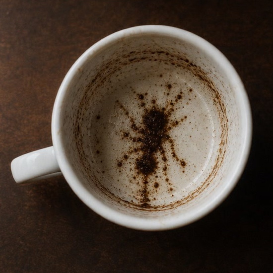 ANT coffee grounds symbol photo variation 2