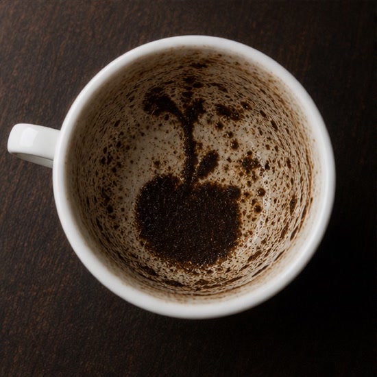 APPLE coffee grounds symbol photo variation 2