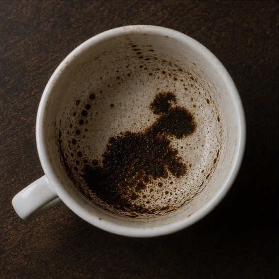 BEAR coffee grounds symbol photo variation 2