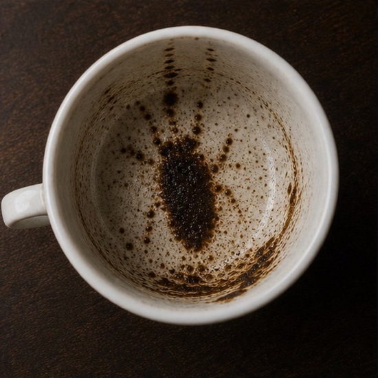 BEETLE coffee grounds symbol photo variation 2