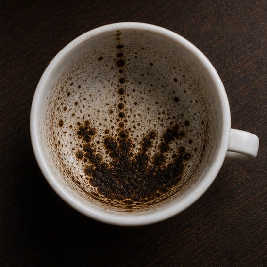 BUSH coffee grounds symbol photo variation 1