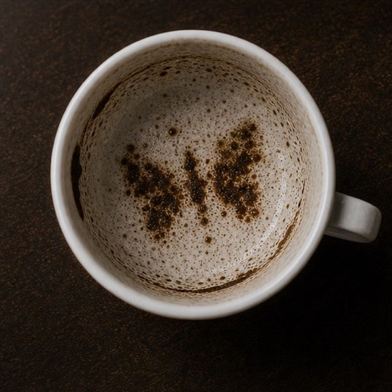 BUTTERFLY coffee grounds symbol photo variation 3