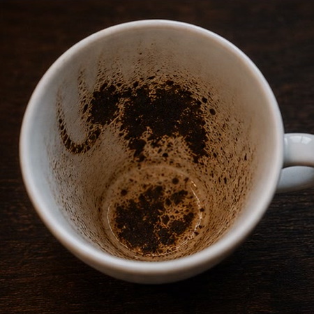 ELEPHANT coffee grounds symbol photo variation 3