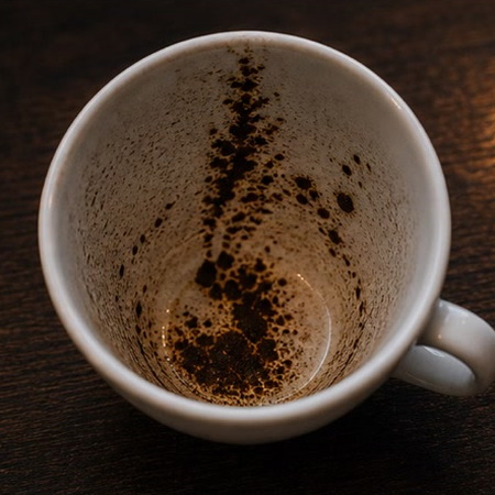 FEATHER coffee grounds symbol photo variation 3