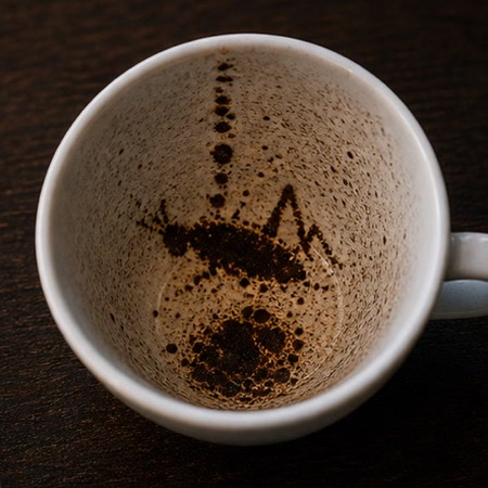 GRASSHOPPER coffee grounds symbol photo variation 1