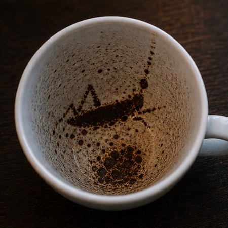 GRASSHOPPER coffee grounds symbol photo variation 3