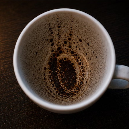 OYSTER coffee grounds symbol photo variation 3