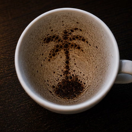 PALM TREE coffee grounds symbol photo variation 1