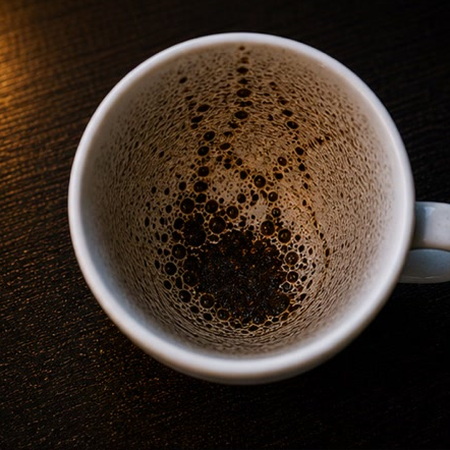 SPIDER WEB coffee grounds symbol photo variation 1