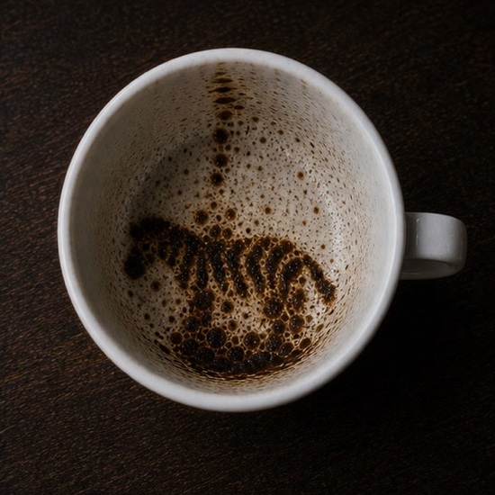 ZEBRA coffee grounds symbol photo variation 1