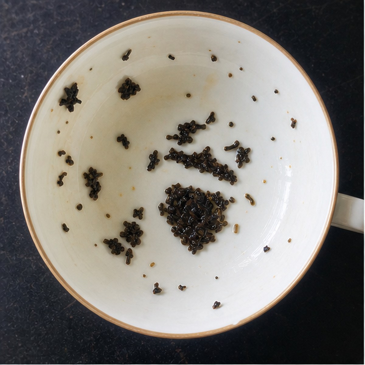 Acorn tea leaves cup variation one