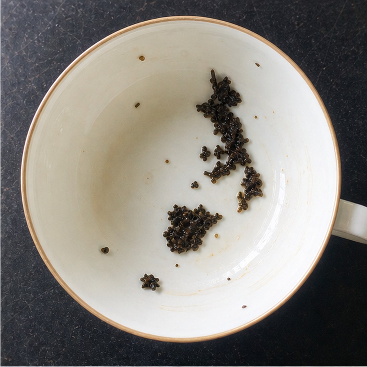 Acorn tea leaves cup variation two