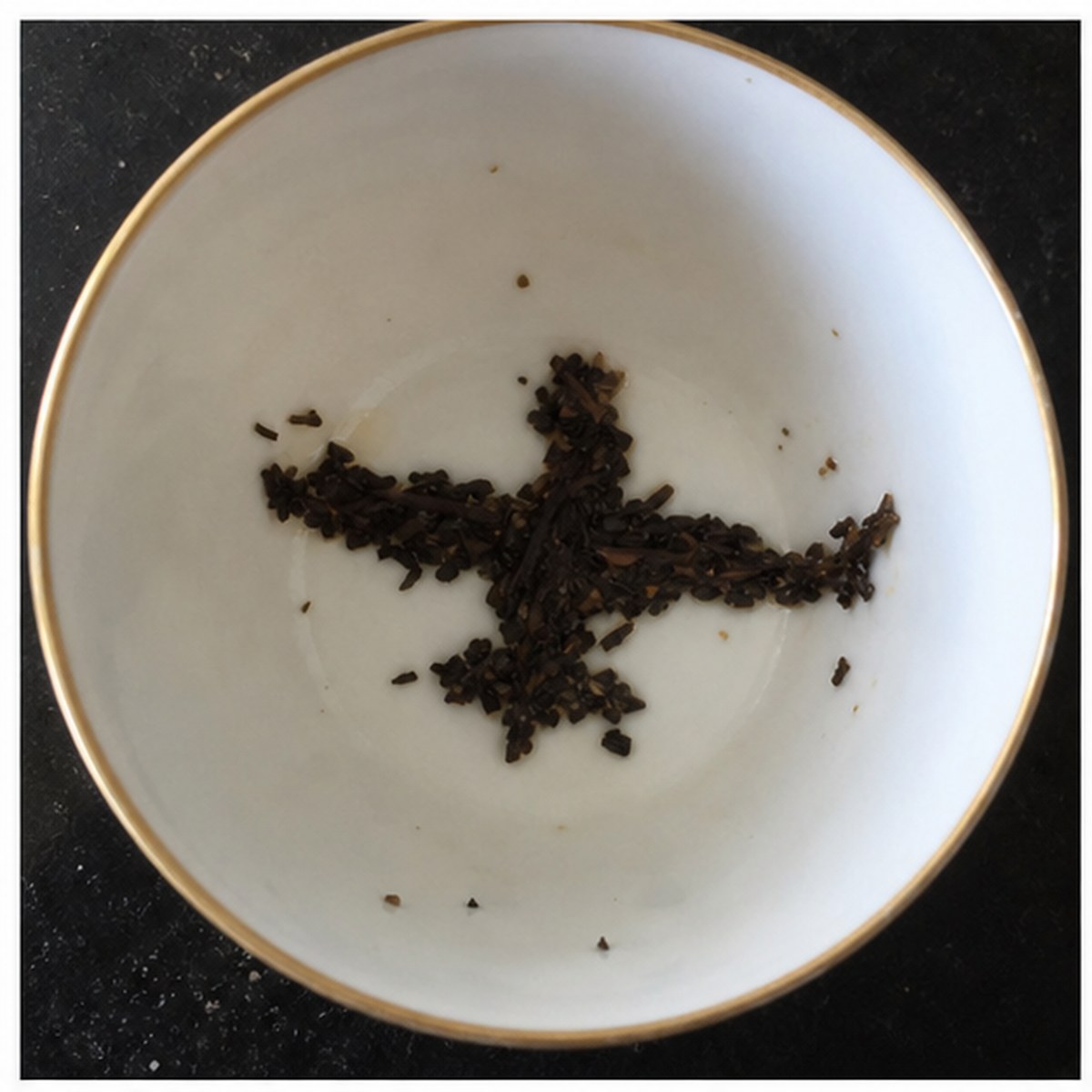 Aircraft tea leaf reading cup example