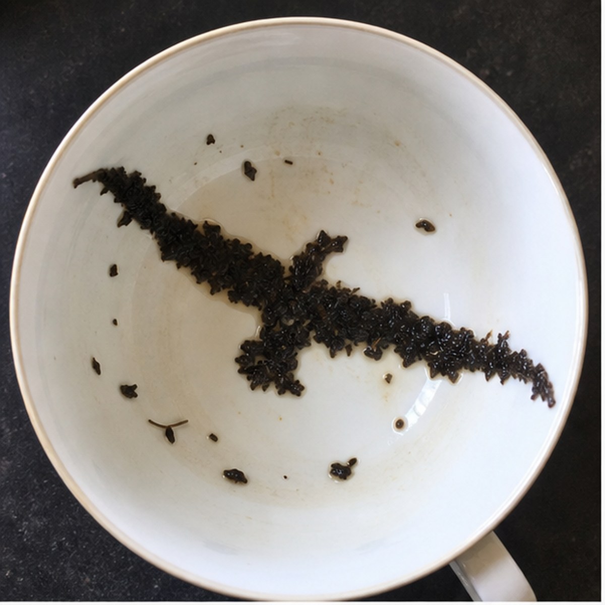 Albatross tea leaf reading cup example