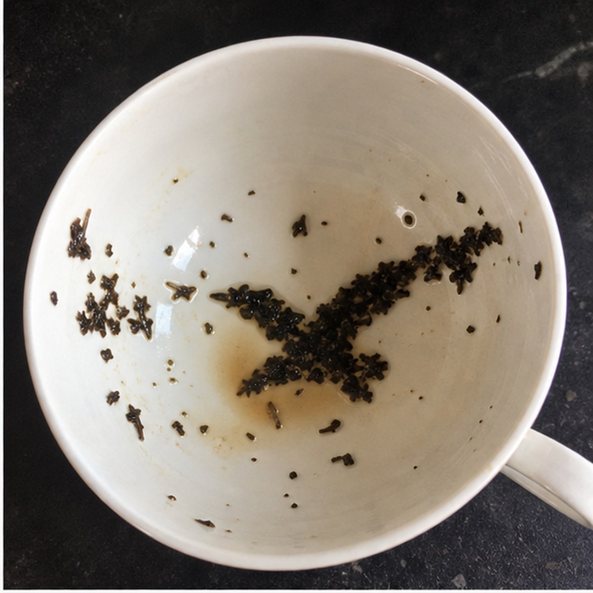 Albatross tea leaves cup variation one