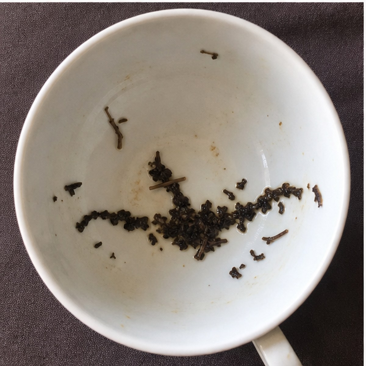 Albatross tea leaves cup variation two