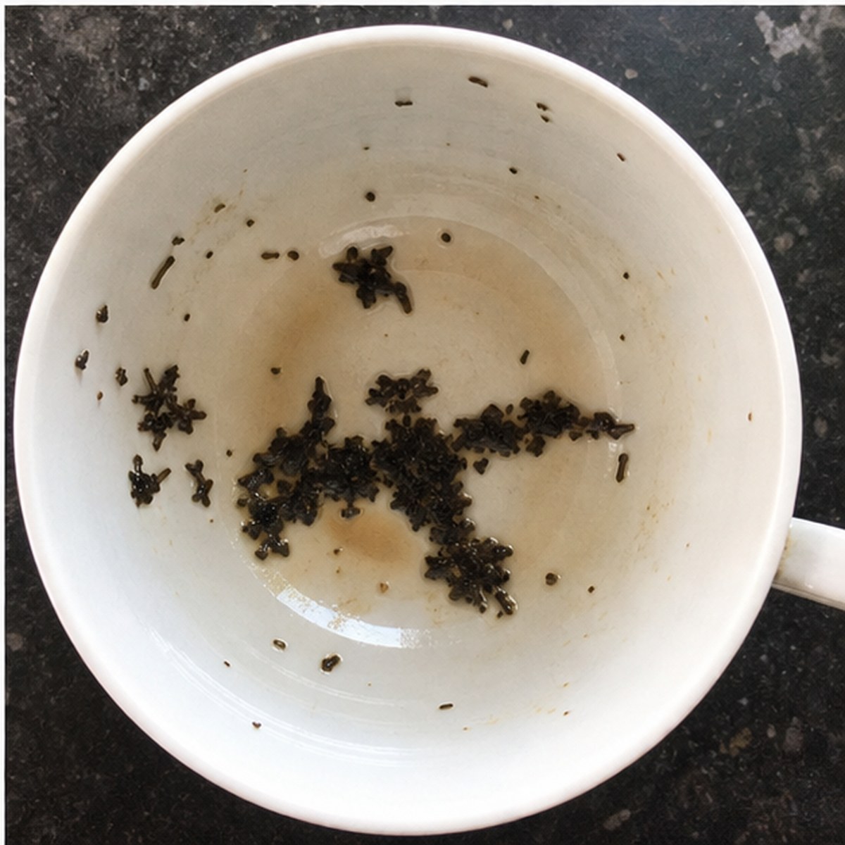 Albatross tea leaves cup variation three
