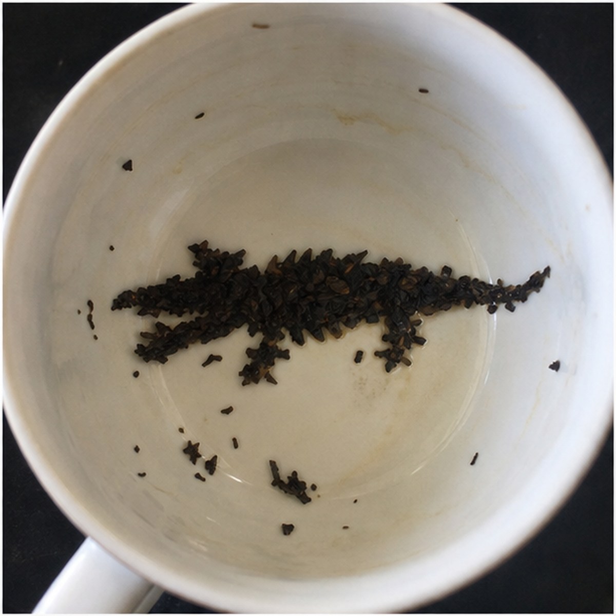 Alligator tea leaf reading cup example
