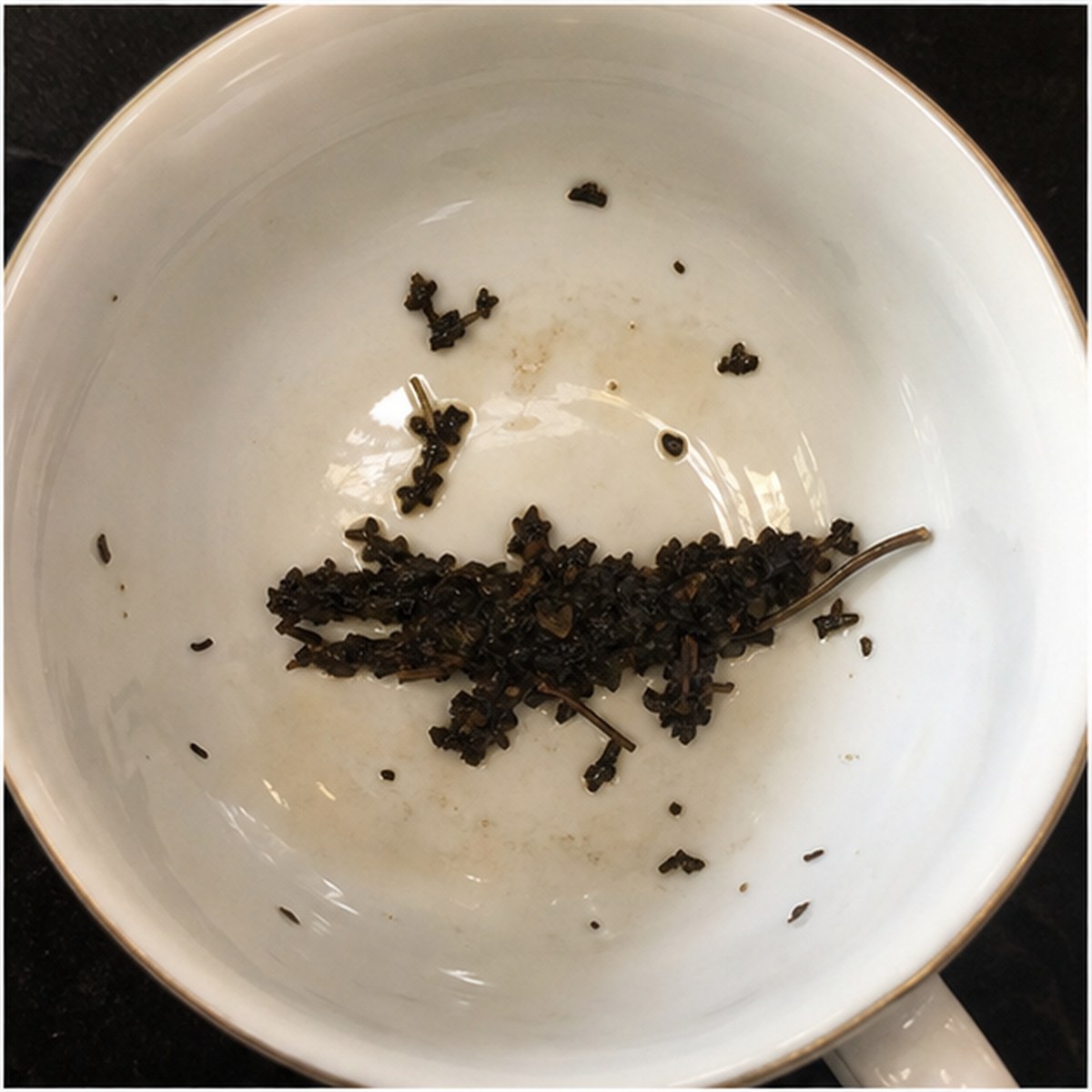 Alligator tea leaves cup variation one