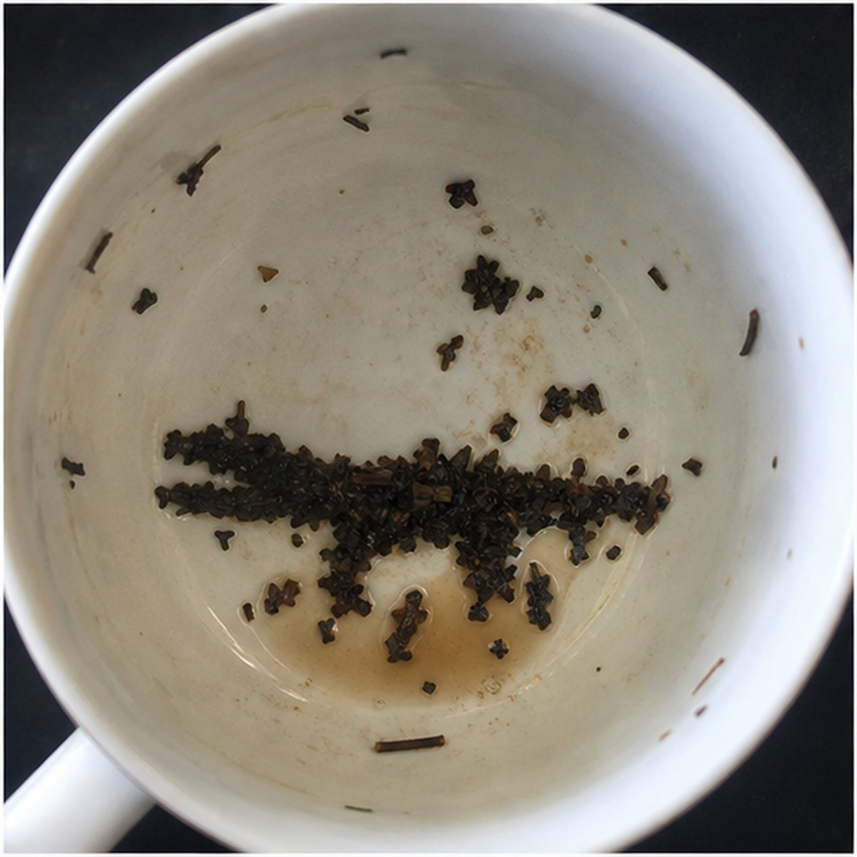 Alligator tea leaves cup variation two