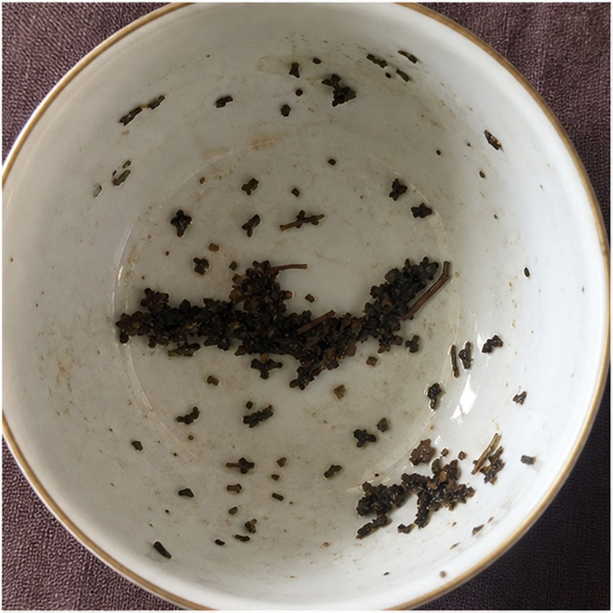 Alligator tea leaves cup variation three