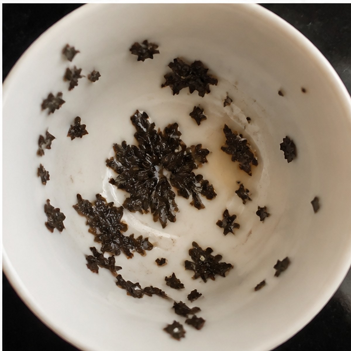 Anemone tea leaves cup variation three
