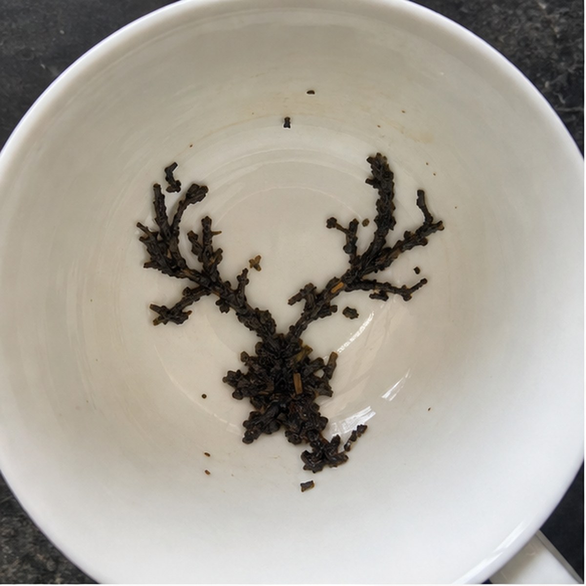 Antlers tea leaf reading cup example
