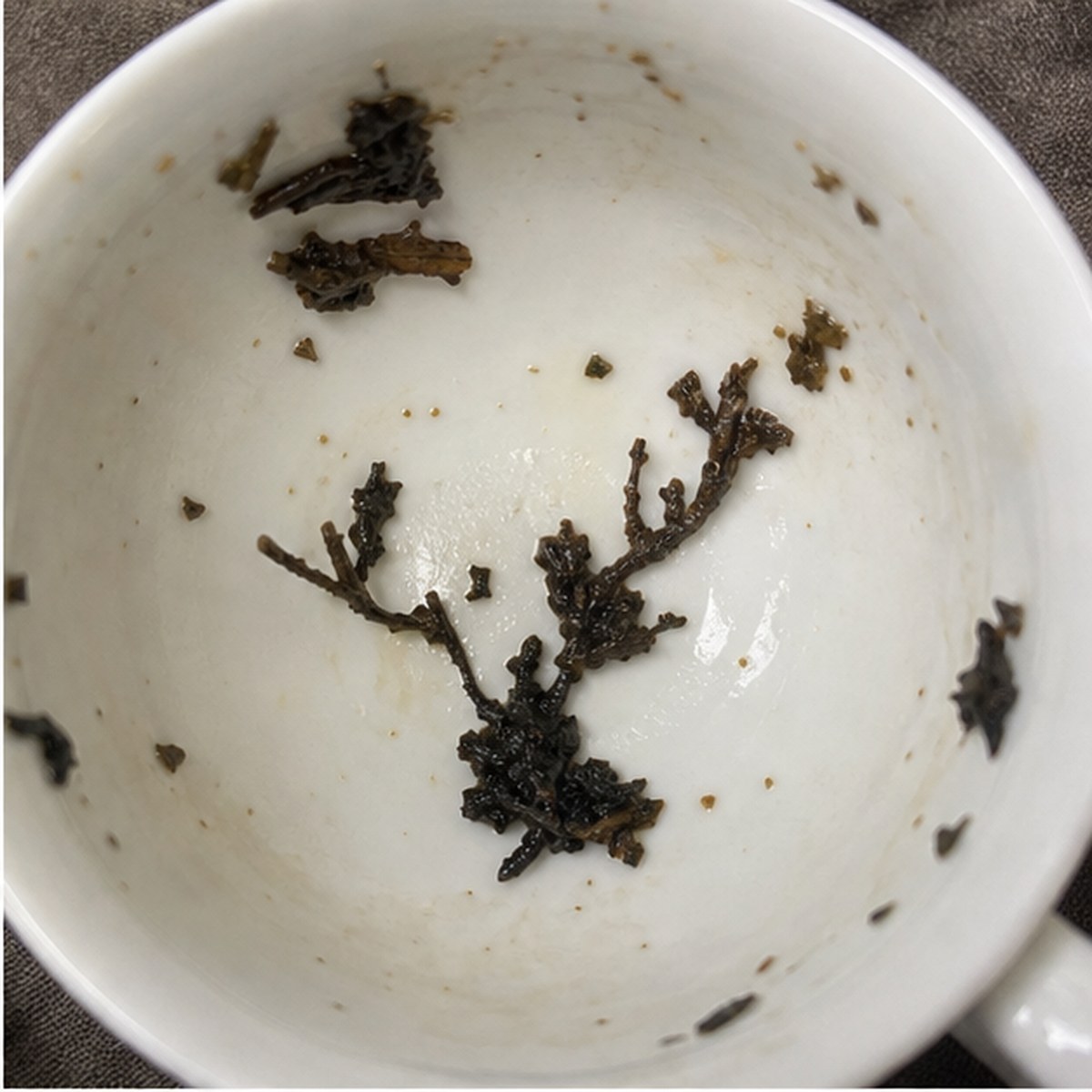 Antlers tea leaves cup variation one