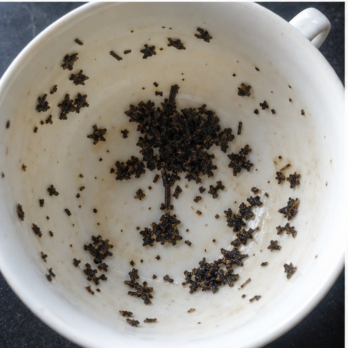 Apple Tree tea leaves cup variation two