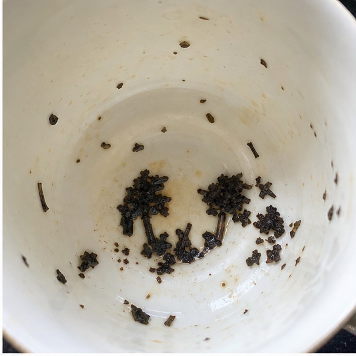 Apple Trees tea leaves cup variation one