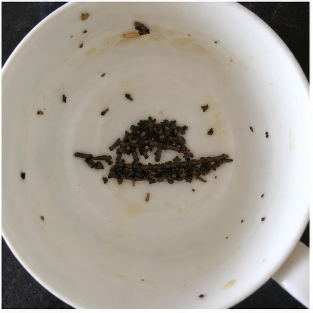 Ark tea leaves cup variation one