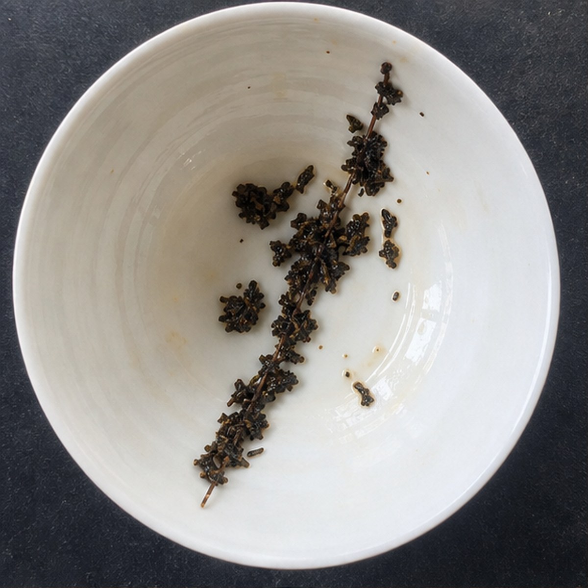Artist'S Mahl Stick tea leaf reading cup example