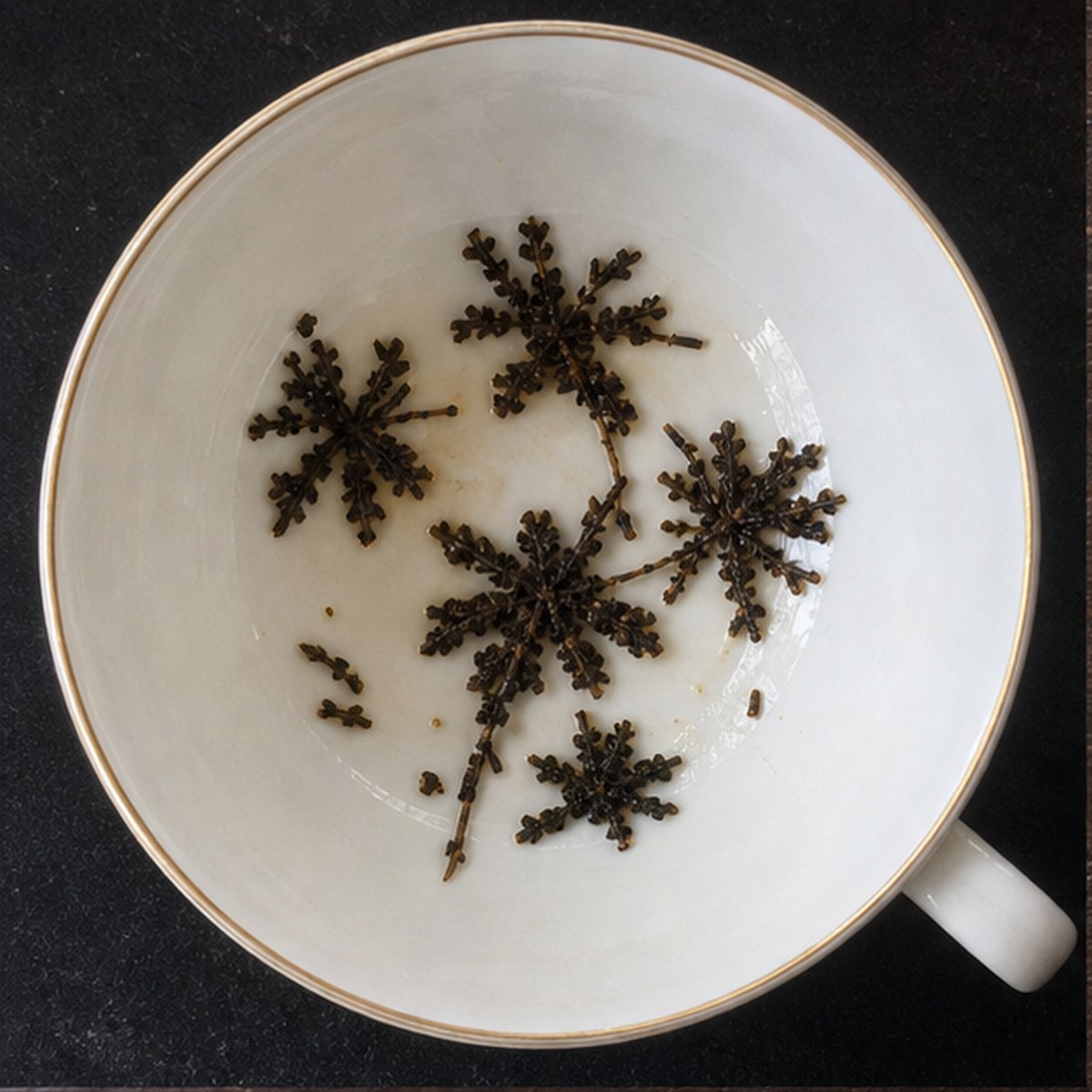 Asters tea leaf reading cup example