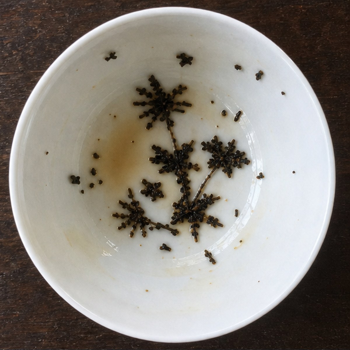 Asters tea leaves cup variation one