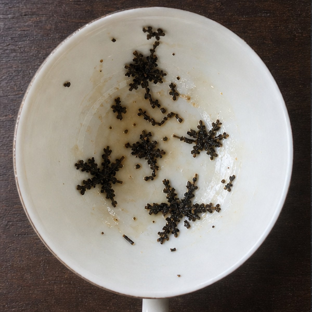 Asters tea leaves cup variation two