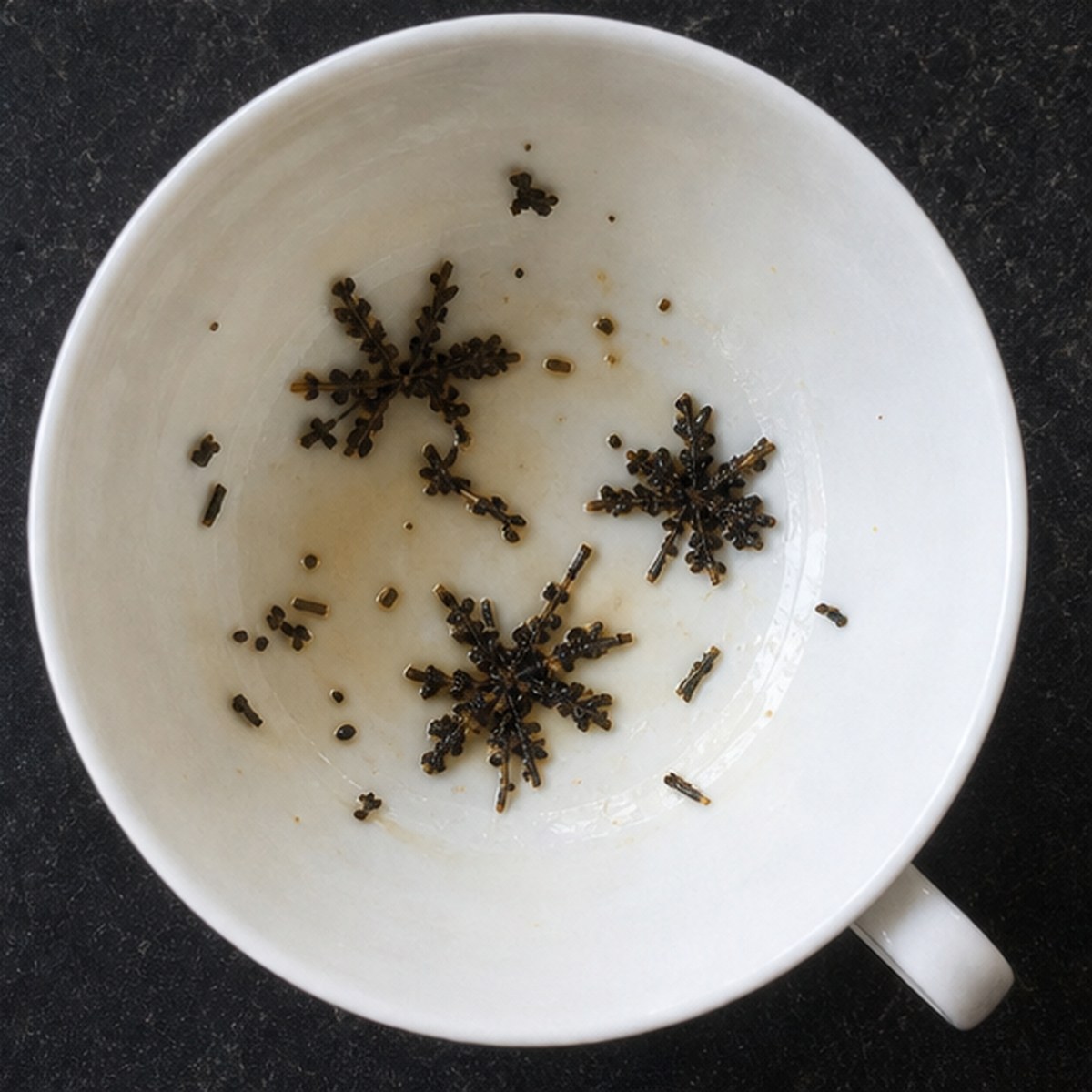 Asters tea leaves cup variation three