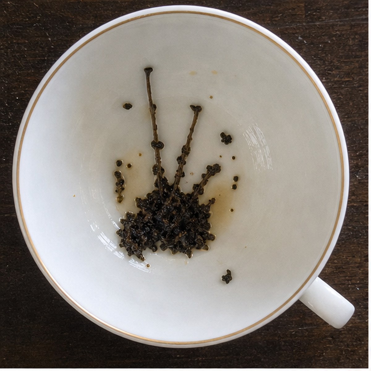 Bagpipes tea leaf reading cup example