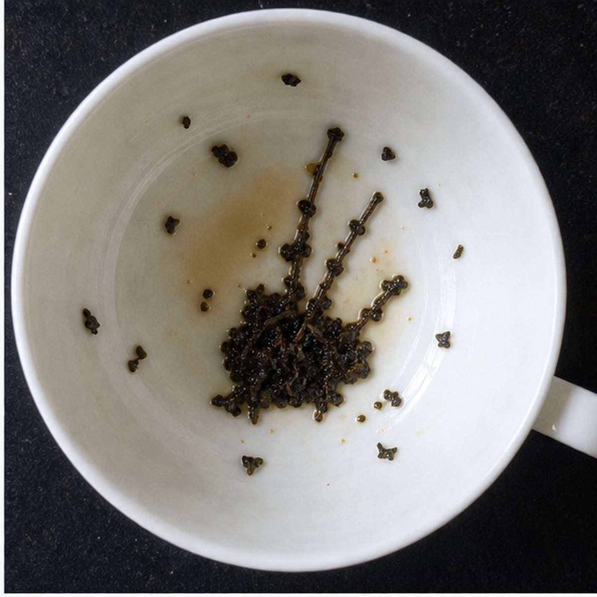 Bagpipes tea leaves cup variation one