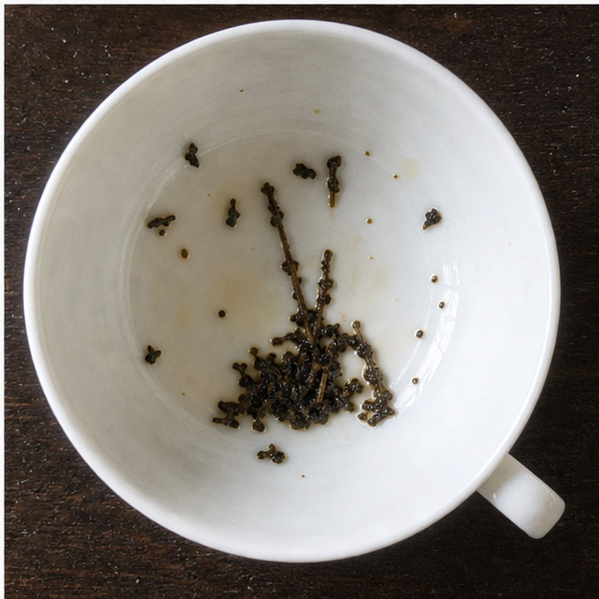 Bagpipes tea leaves cup variation three