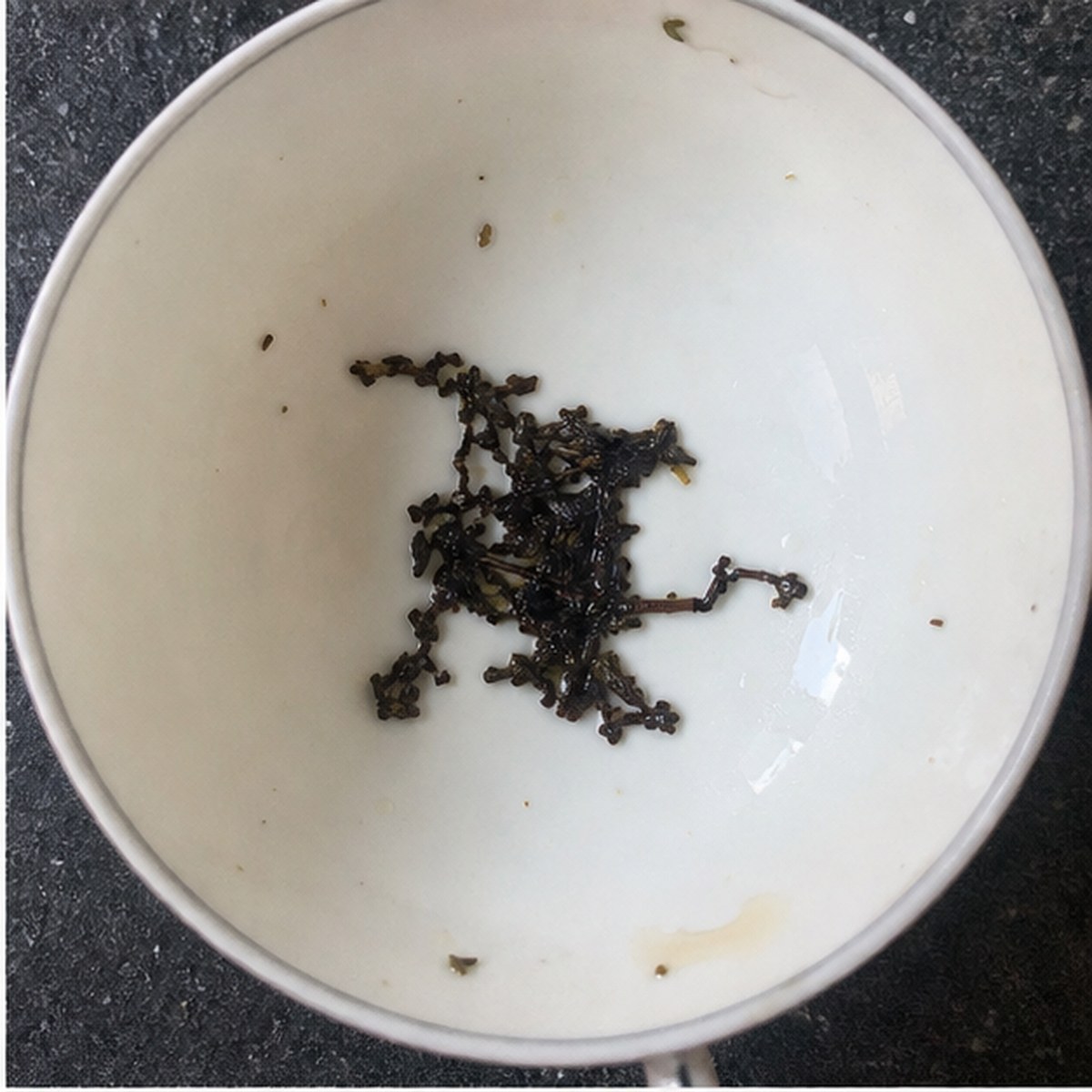 Barrel Organ tea leaves cup variation one