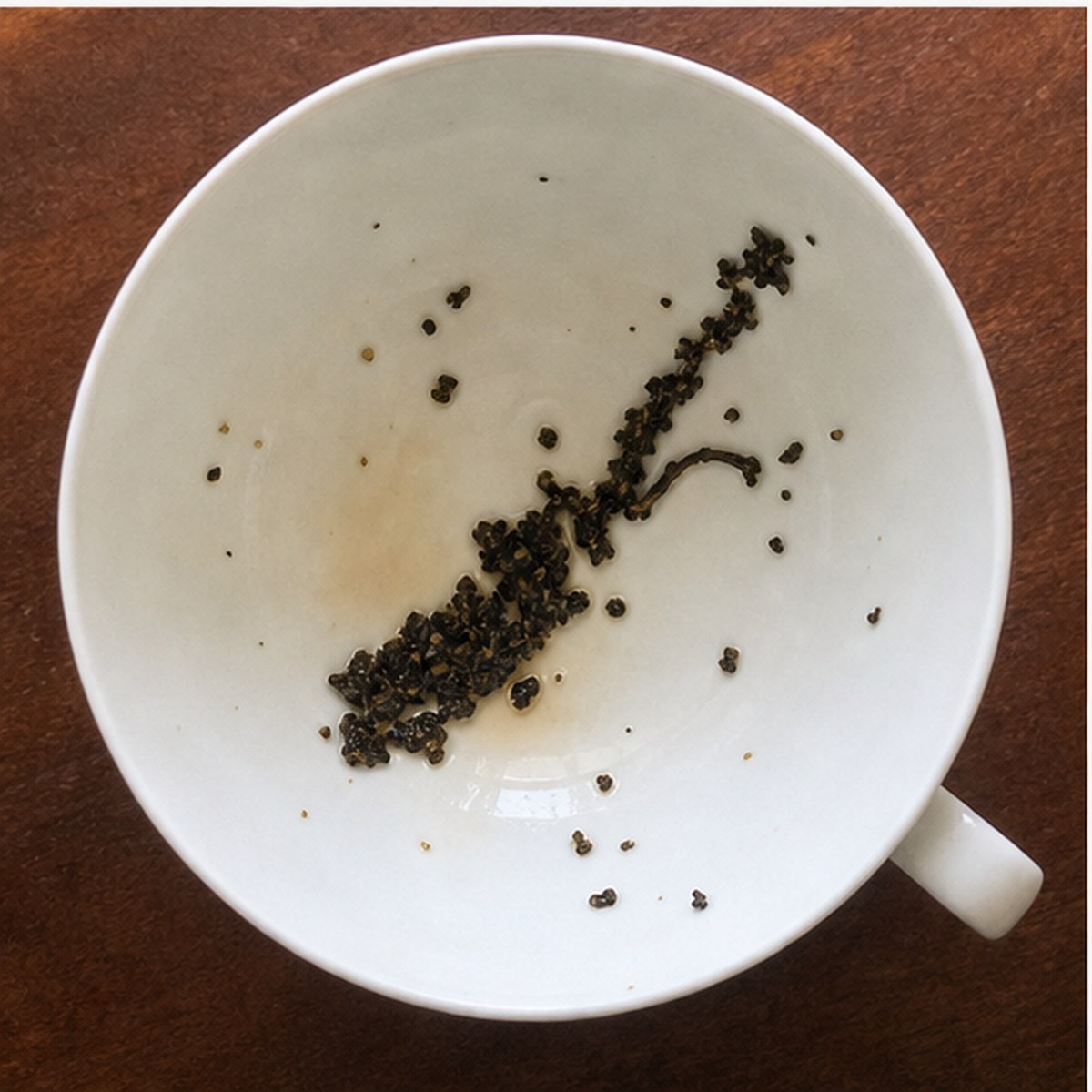 Bassoon tea leaves cup variation two