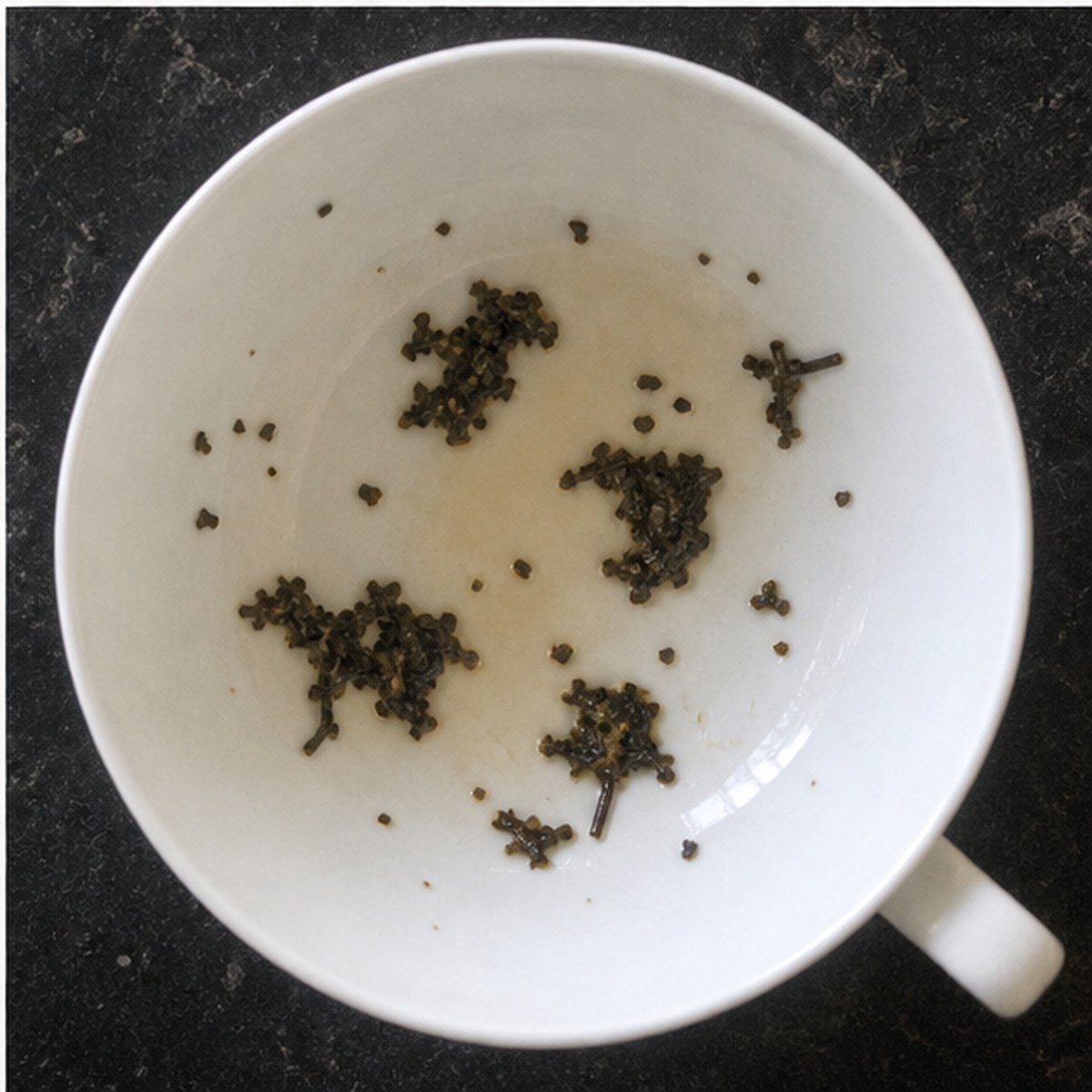 Beasts tea leaves cup variation three