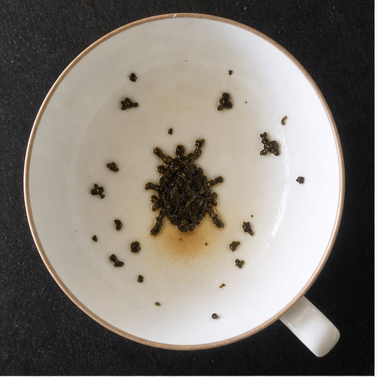 Beetle tea leaf reading cup example