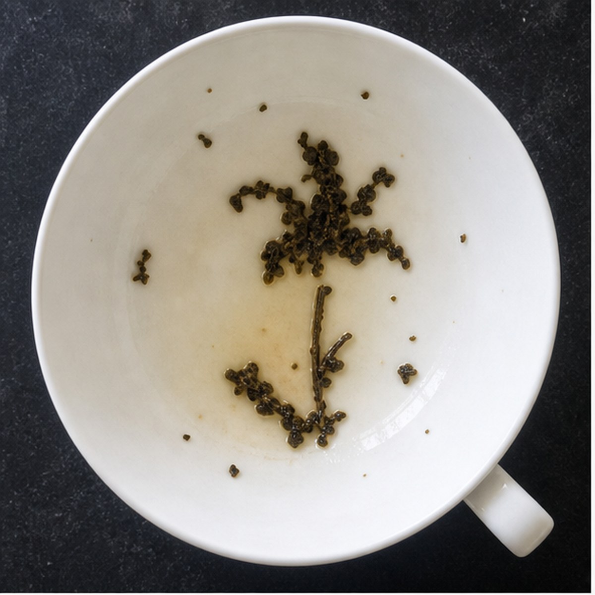 Belladonna Lily tea leaf reading cup example