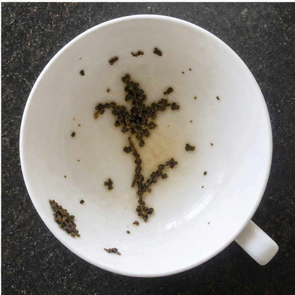 Belladonna Lily tea leaves cup variation three