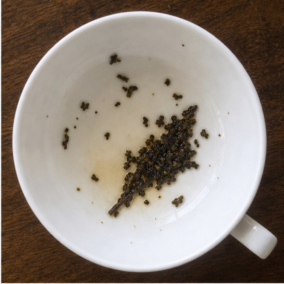 Bellows tea leaves cup variation one
