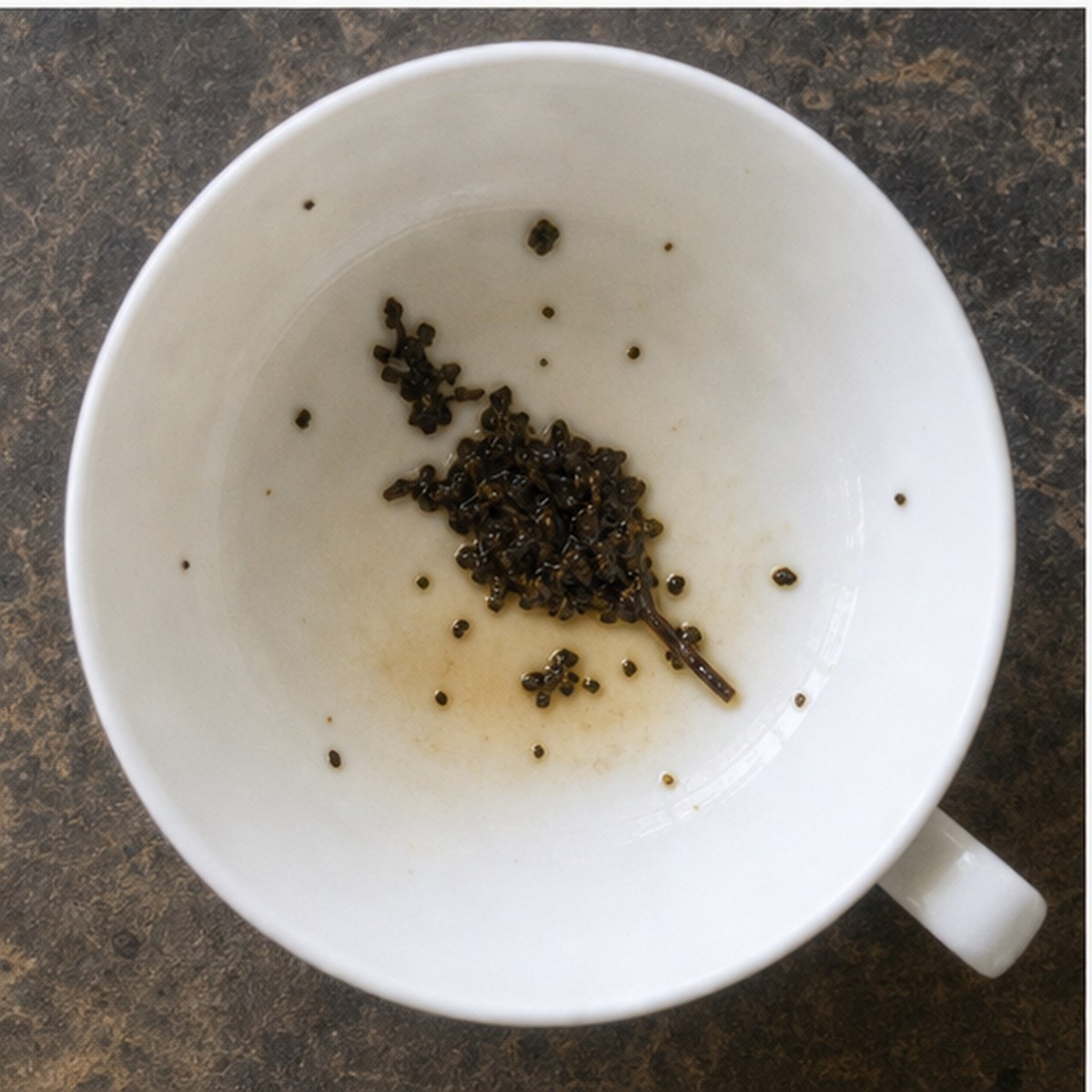 Bellows tea leaves cup variation two