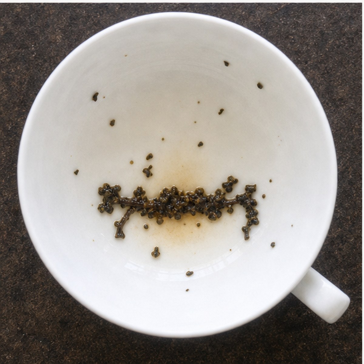 Bier tea leaves cup variation two