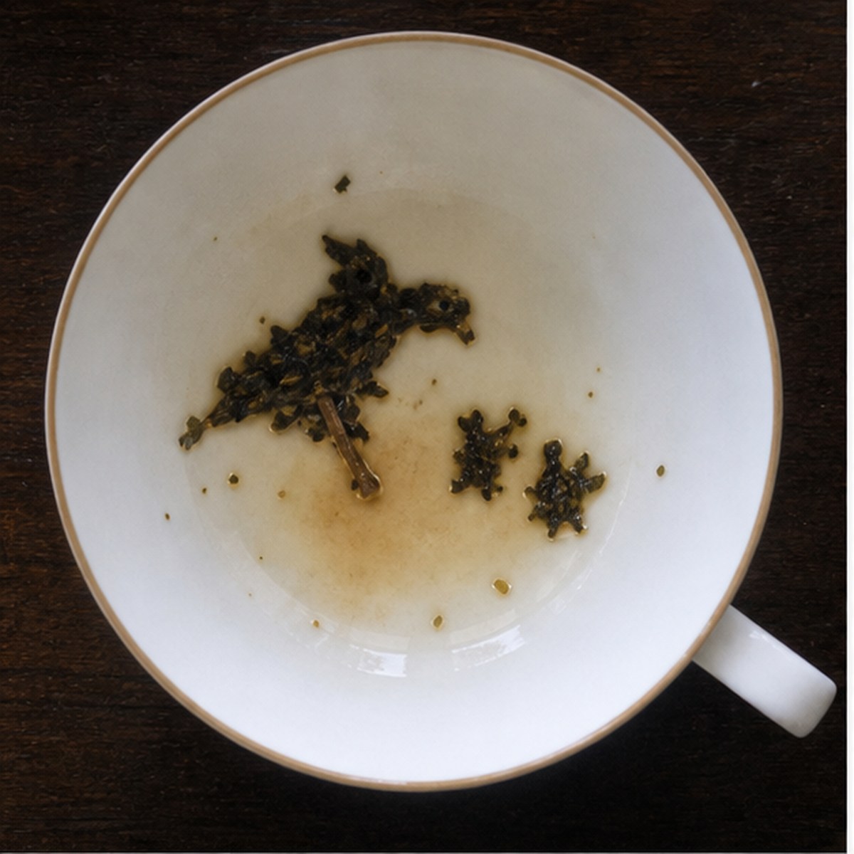 Bird Feeding Young tea leaf reading cup example
