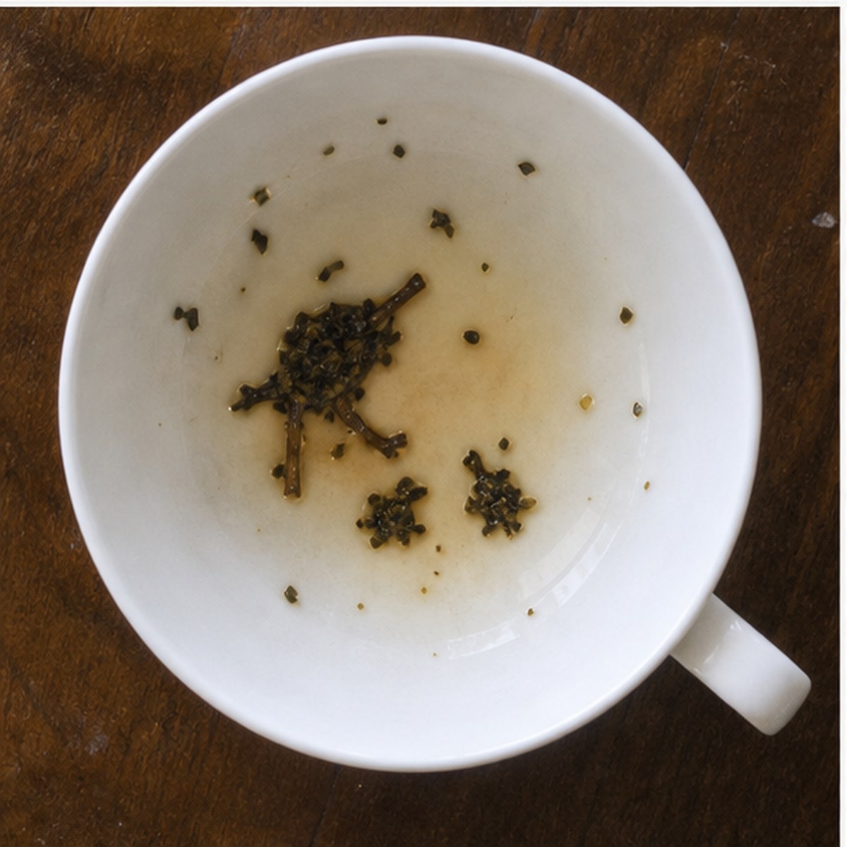 Bird Feeding Young tea leaves cup variation two